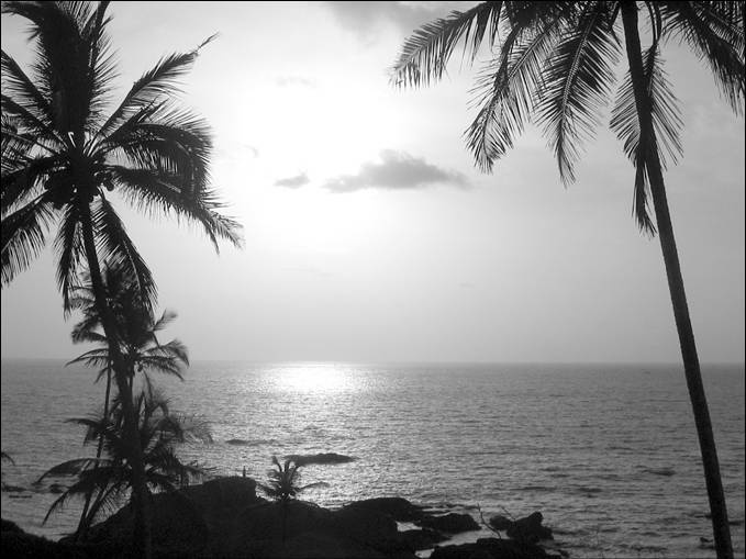 Иллюстрация к книге — 100 великих тайн океана [_9.jpg]