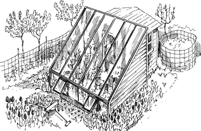 Иллюстрация к книге — Секреты раннего урожая. Все о парниках, теплицах и подготовке семян [i_003.jpg]