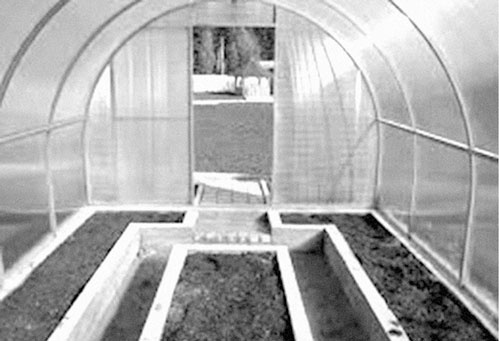 Иллюстрация к книге — Секреты раннего урожая. Все о парниках, теплицах и подготовке семян [i_025.jpg]