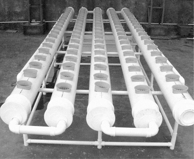 Иллюстрация к книге — Секреты раннего урожая. Все о парниках, теплицах и подготовке семян [i_031.jpg]