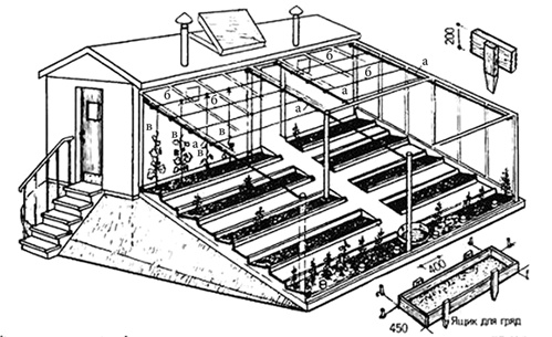 Иллюстрация к книге — Секреты раннего урожая. Все о парниках, теплицах и подготовке семян [i_063.jpg]