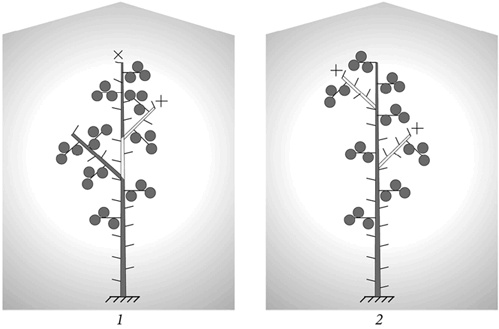 Иллюстрация к книге — Секреты раннего урожая. Все о парниках, теплицах и подготовке семян [i_100.jpg]