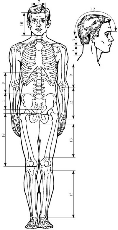 Иллюстрация к книге — Целительные точки нашего тела [_05.jpg]