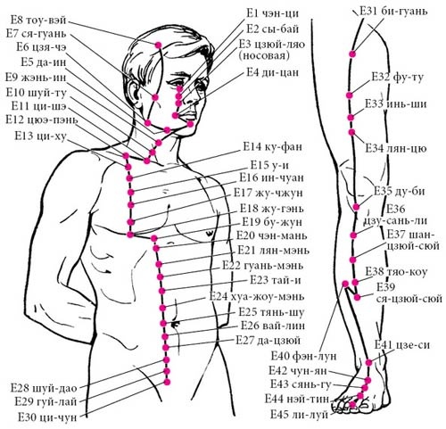 Иллюстрация к книге — Целительные точки нашего тела [_16.jpg]