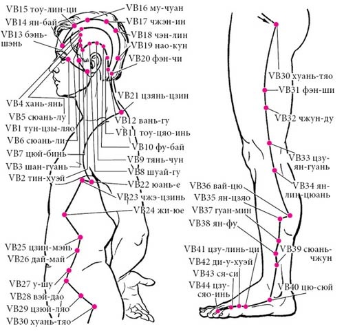 Иллюстрация к книге — Целительные точки нашего тела [_24.jpg]