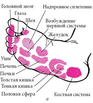 Иллюстрация к книге — Целительные точки нашего тела [_38.jpg]