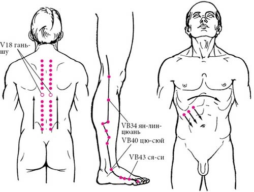Иллюстрация к книге — Целительные точки нашего тела [_53.jpg]