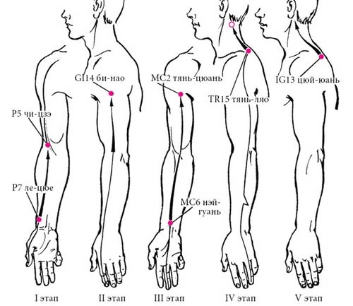 Иллюстрация к книге — Целительные точки нашего тела [_56.jpg]