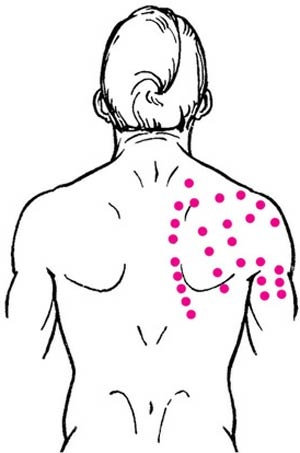 Иллюстрация к книге — Целительные точки нашего тела [_58.jpg]