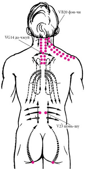 Иллюстрация к книге — Целительные точки нашего тела [_60.jpg]