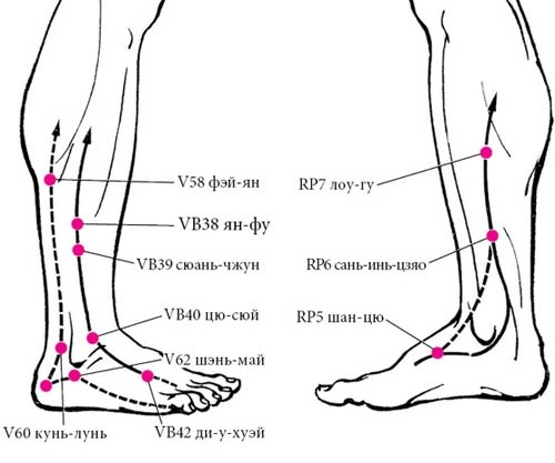 Иллюстрация к книге — Целительные точки нашего тела [_62.jpg]