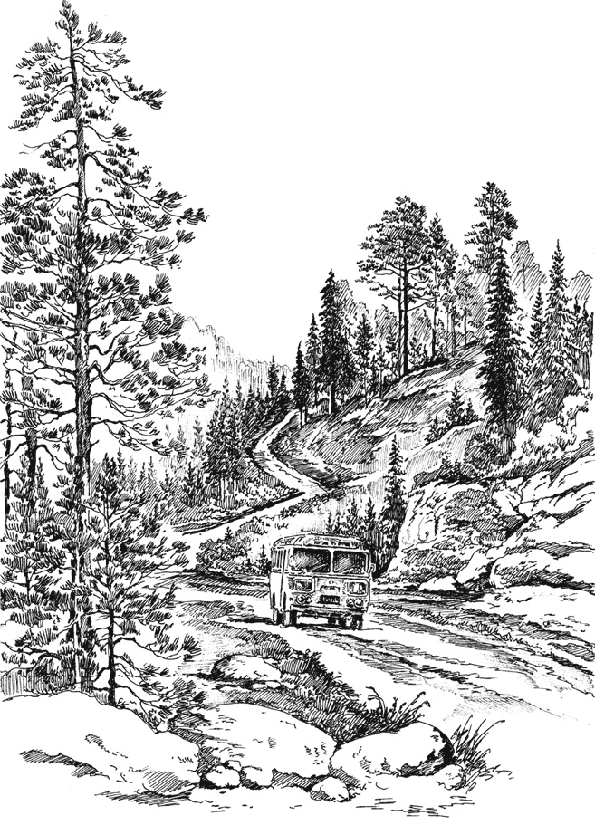 Иллюстрация к книге — Обдириха. Остросюжетная повесть из жизни пинежской деревни Верколы [i_002.jpg]