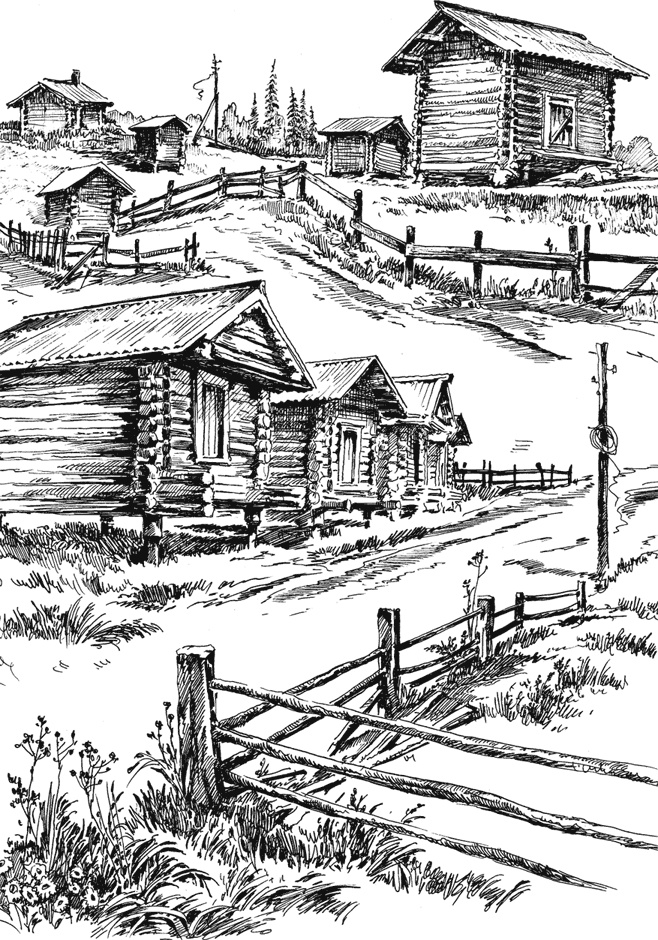 Иллюстрация к книге — Обдириха. Остросюжетная повесть из жизни пинежской деревни Верколы [i_006.jpg]