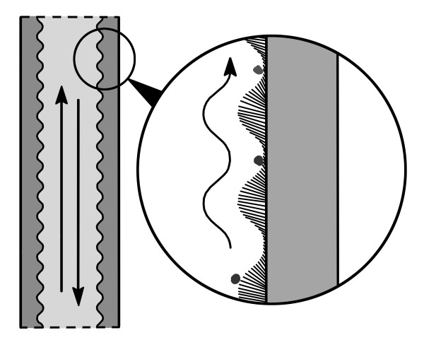 Иллюстрация к книге — Парадоксальное дыхание для начинающих [i_007.jpg]