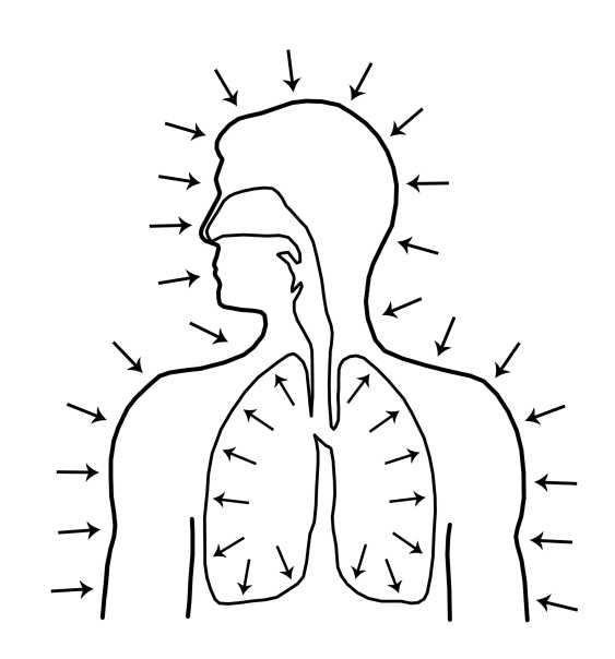 Иллюстрация к книге — Парадоксальное дыхание для начинающих [i_032.jpg]