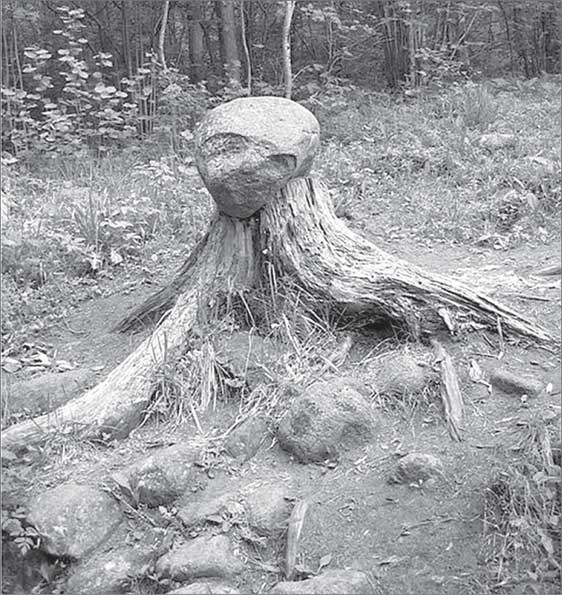 Иллюстрация к книге — Места силы на карте мира [i_031.jpg]