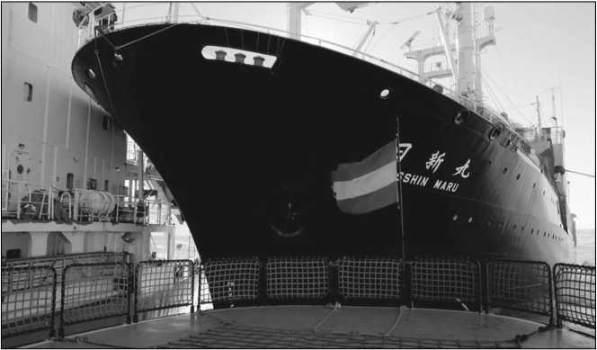 Иллюстрация к книге — 100 великих операций спецслужб [i_082.jpg]