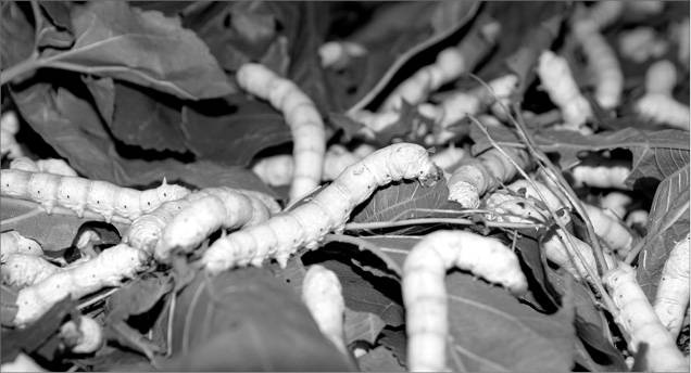 Иллюстрация к книге — 100 великих криминальных историй [i_016.jpg]