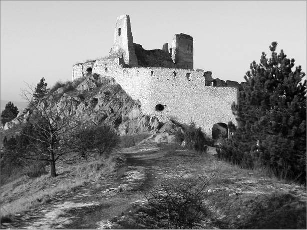 Иллюстрация к книге — 100 великих криминальных историй [i_028.jpg]