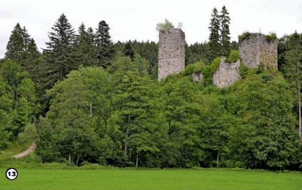 Иллюстрация к книге — История леса. Взгляд из Германии [i_013.jpg]