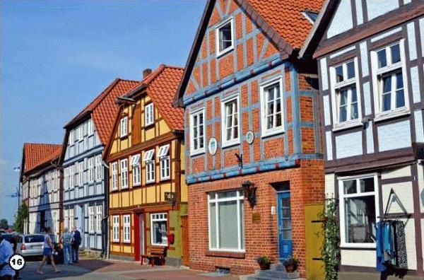 Иллюстрация к книге — История леса. Взгляд из Германии [i_016.jpg]