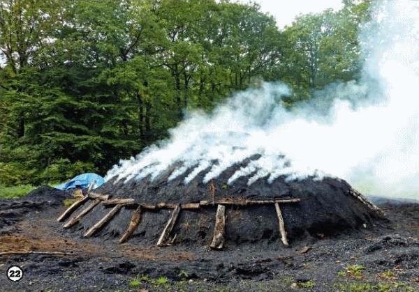 Иллюстрация к книге — История леса. Взгляд из Германии [i_022.jpg]