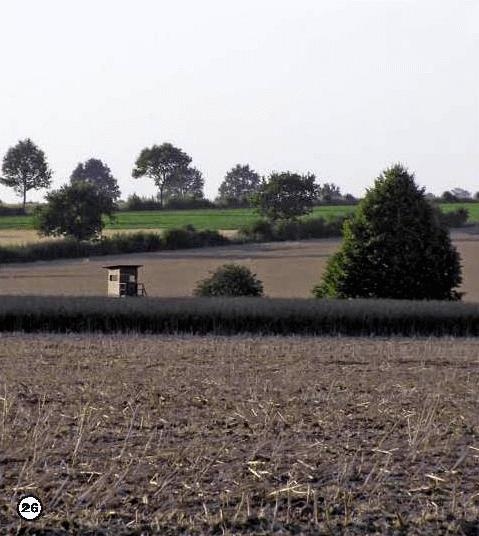 Иллюстрация к книге — История леса. Взгляд из Германии [i_026.jpg]