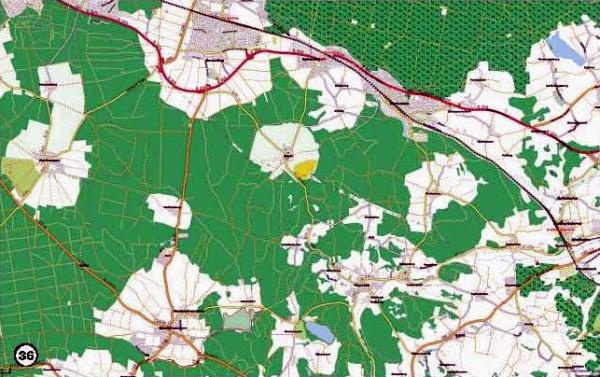 Иллюстрация к книге — История леса. Взгляд из Германии [i_036.jpg]