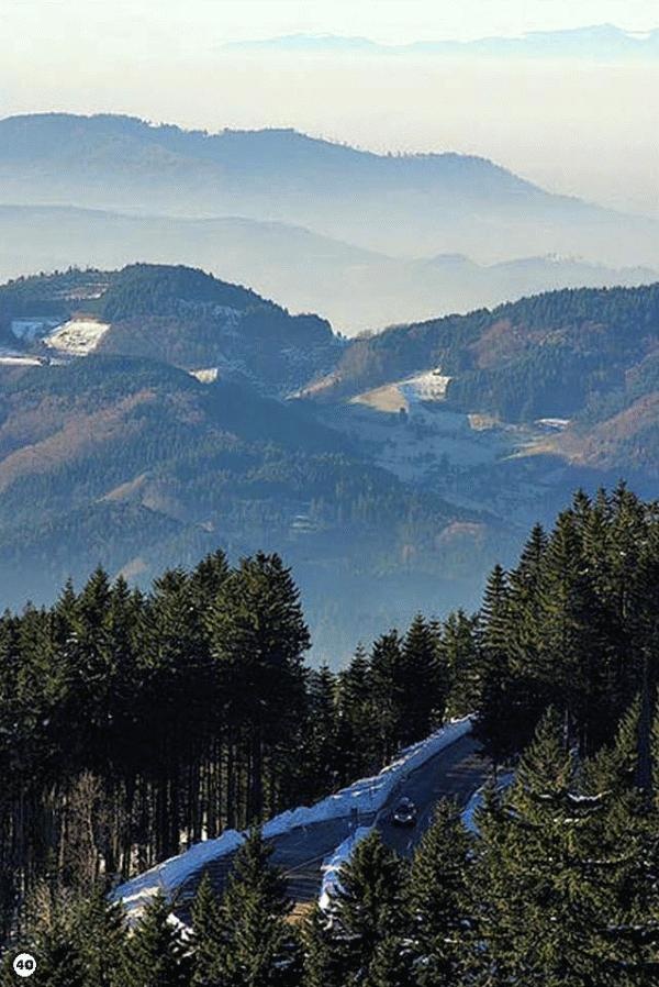 Иллюстрация к книге — История леса. Взгляд из Германии [i_040.jpg]