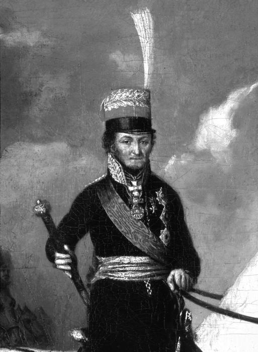 Иллюстрация к книге — Партизанская война в 1812 году [_009.jpg]