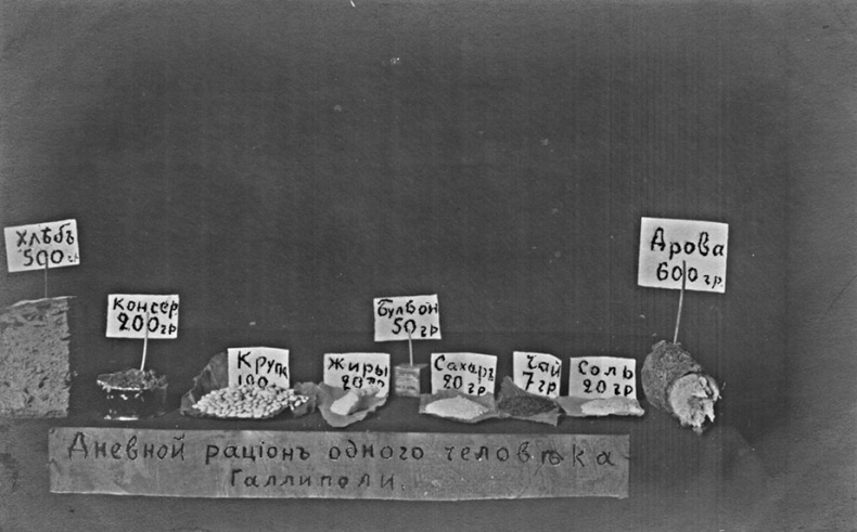 Иллюстрация к книге — Изгнанная армия. Полвека военной эмиграции. 1920-1970 гг. [i_016.jpg]