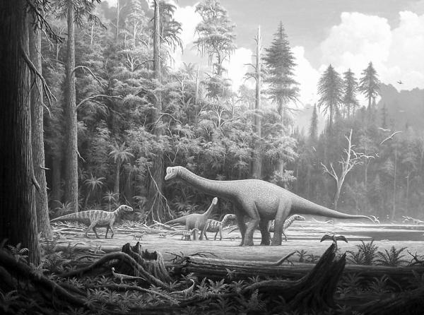 Иллюстрация к книге — 100 великих тайн Земли [_08.jpg]