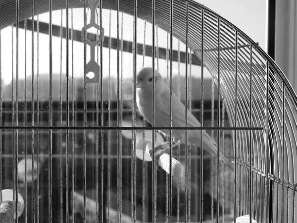 Иллюстрация к книге — 100 великих тайн Земли [_65.jpg]