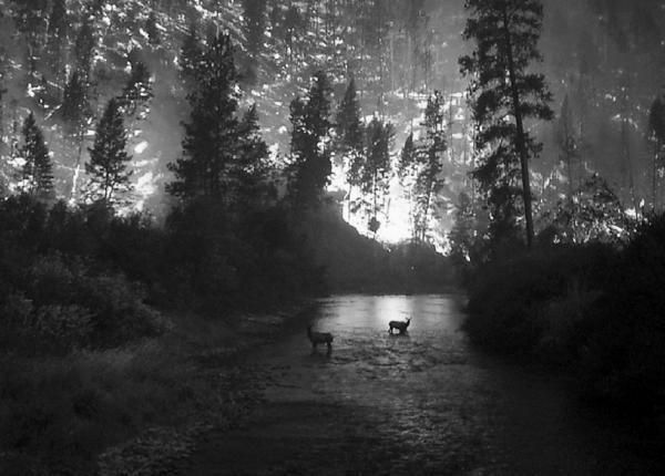 Иллюстрация к книге — 100 великих тайн Земли [_89.jpg]