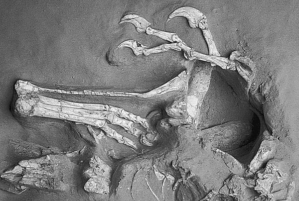 Иллюстрация к книге — 100 великих тайн вселенной [_85.jpg]