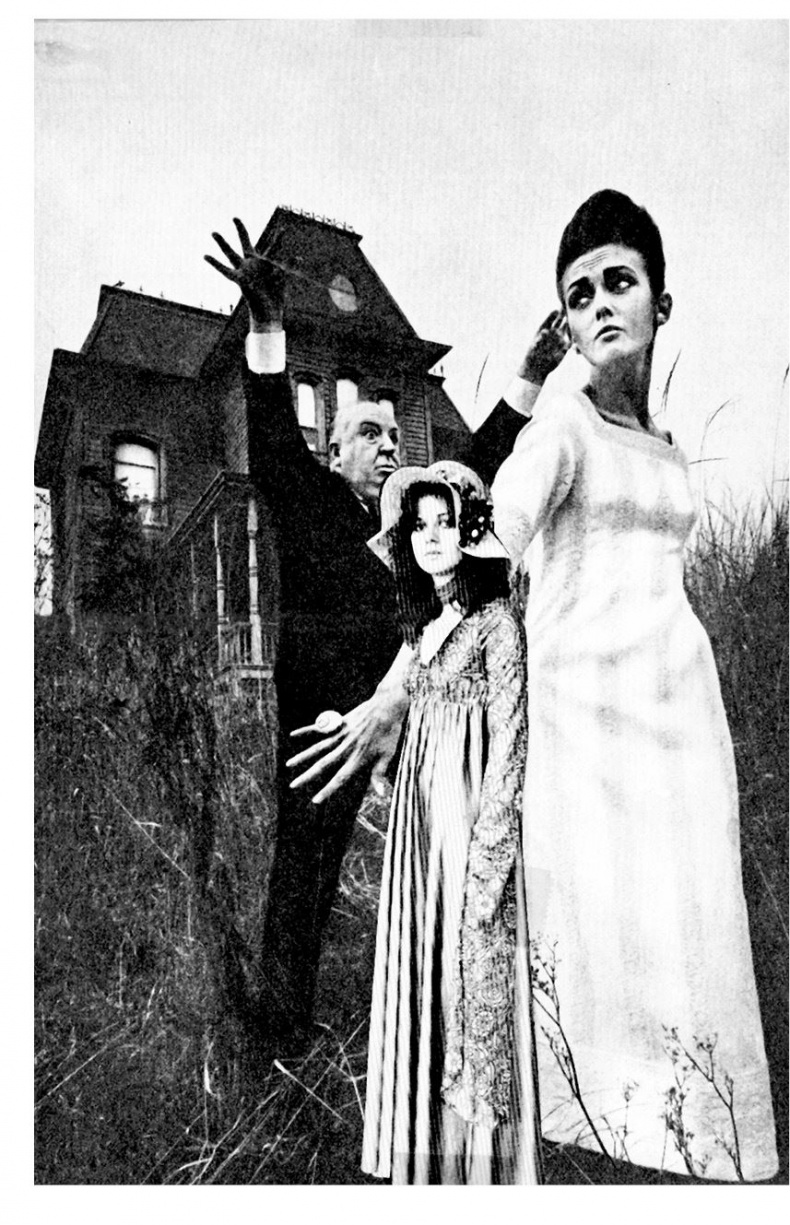 Иллюстрация к книге — Дом Близнецов [i000009510000.jpg]