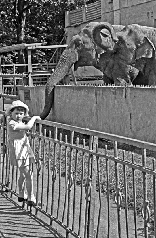 Иллюстрация к книге — Тайный код Кёнигсберга [_086.jpg]