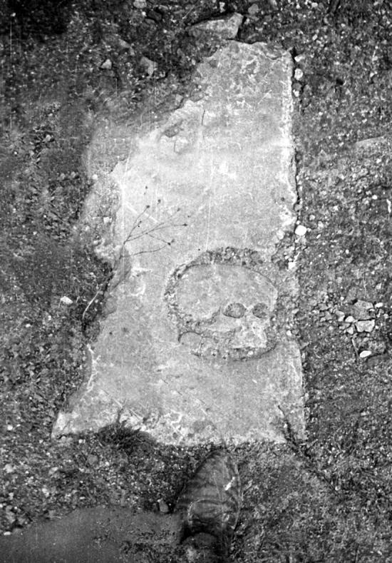 Иллюстрация к книге — Тайный код Кёнигсберга [_107.jpg]