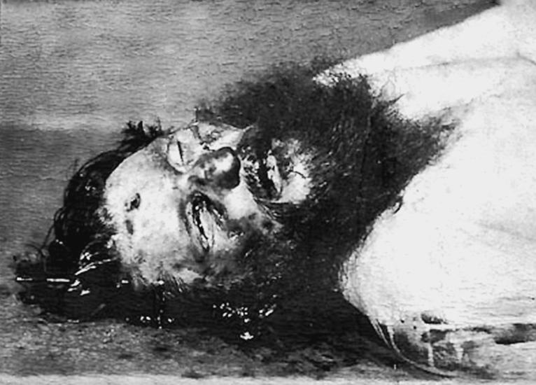 Иллюстрация к книге — Царь и царица [_352_2.jpg]