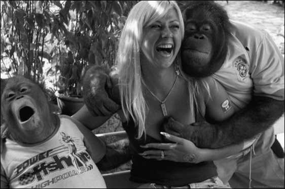 Иллюстрация к книге — Тупики психоанализа. Роковая ошибка Фрейда [i_013.jpg]