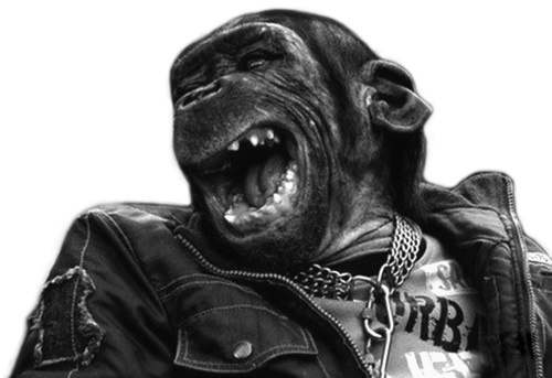 Иллюстрация к книге — Тупики психоанализа. Роковая ошибка Фрейда [i_017.jpg]