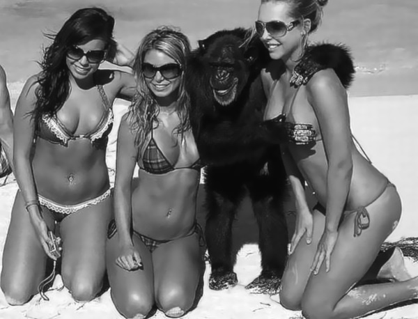 Иллюстрация к книге — Тупики психоанализа. Роковая ошибка Фрейда [i_028.jpg]