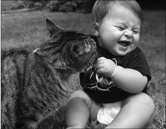 Иллюстрация к книге — Тупики психоанализа. Роковая ошибка Фрейда [i_047.jpg]