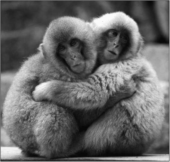 Иллюстрация к книге — Тупики психоанализа. Роковая ошибка Фрейда [i_048.jpg]