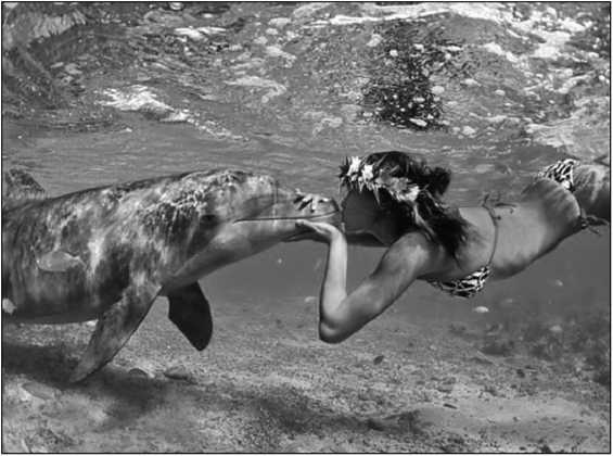 Иллюстрация к книге — Тупики психоанализа. Роковая ошибка Фрейда [i_049.jpg]