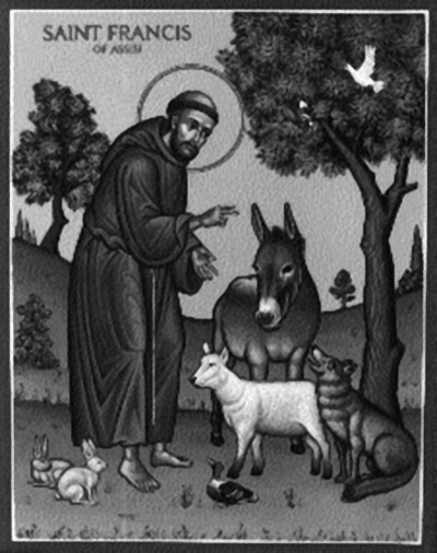 Иллюстрация к книге — Тупики психоанализа. Роковая ошибка Фрейда [i_051.jpg]