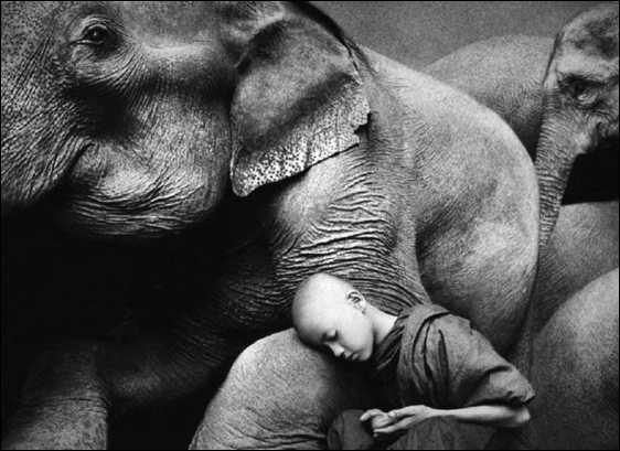 Иллюстрация к книге — Тупики психоанализа. Роковая ошибка Фрейда [i_054.jpg]