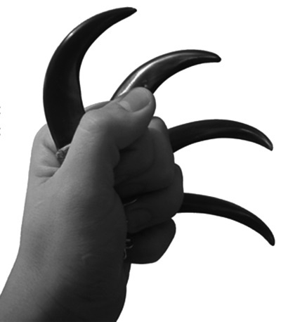 Иллюстрация к книге — Тупики психоанализа. Роковая ошибка Фрейда [i_056.jpg]