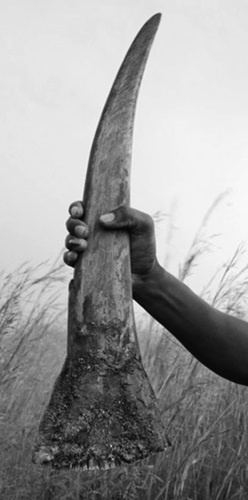 Иллюстрация к книге — Тупики психоанализа. Роковая ошибка Фрейда [i_057.jpg]