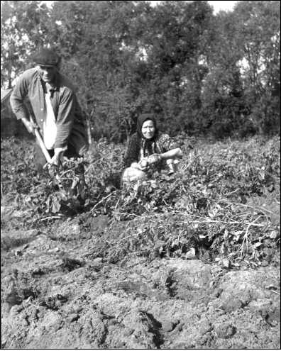 Иллюстрация к книге — СССР при Брежневе. Правда великой эпохи [i_025.jpg]